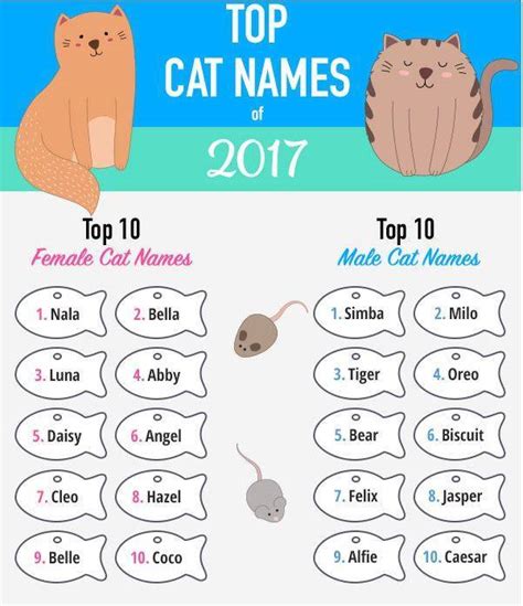 Most Popular Cat Names Of 2017 Have A Disney Influence News Tapinto