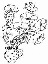 Coloring Poppies Maki Poppy Kolorowanki Mohnblumen Malvorlagen Bestcoloringpagesforkids Dzieci Flowers Vase sketch template