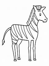 Zebra Coloriage Zebre Mewarnai Zebras Dibujo Getdrawings Belajar Lebah Fois Imprimé sketch template