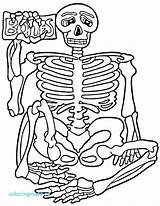 Coloring Human Pages Printable Body Getcolorings sketch template