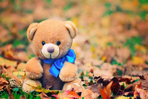 pink and blue teddy day whatsapp profile dp pink and blue