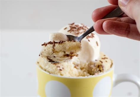 2 ingredient ice cream microwave mug cake love swah