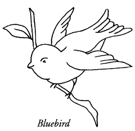 bluebird coloring  animal coloring pages sheets bluebird