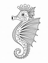Colorare Ippocampo Hippocampe Scarabocchio Sea Seahorse sketch template