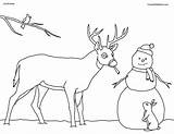 Coloring Deer Christmas Book Kids Pages Snowman Forest Animals Clipart Card Crista Nature sketch template