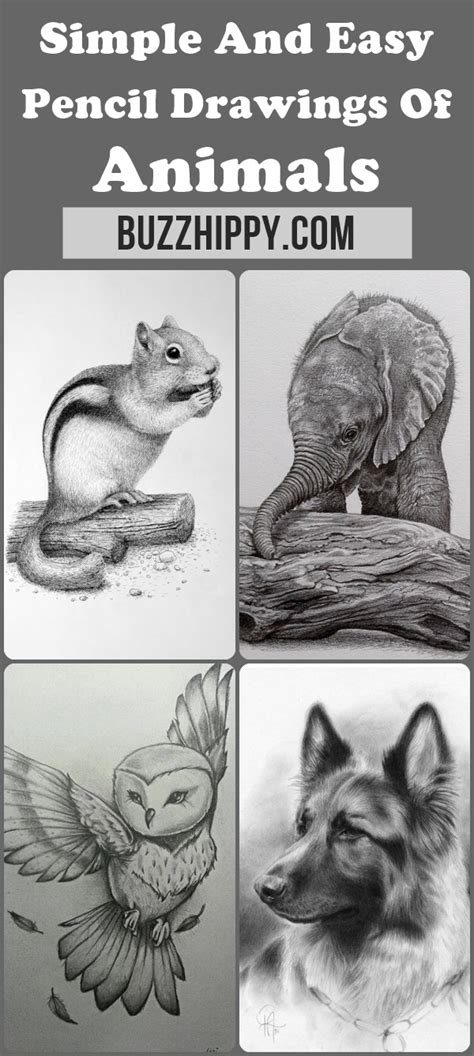 draw animals easily pics special image