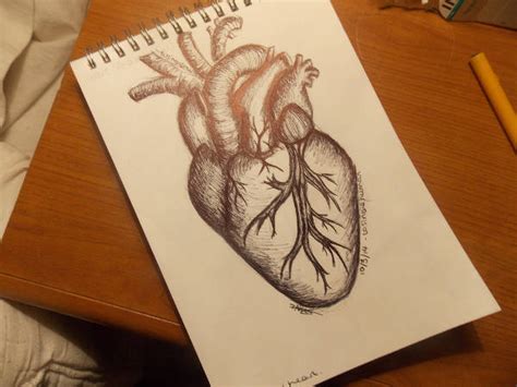 heart drawings  ai