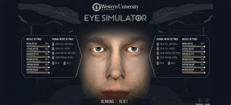 eye simulator hd  cetl