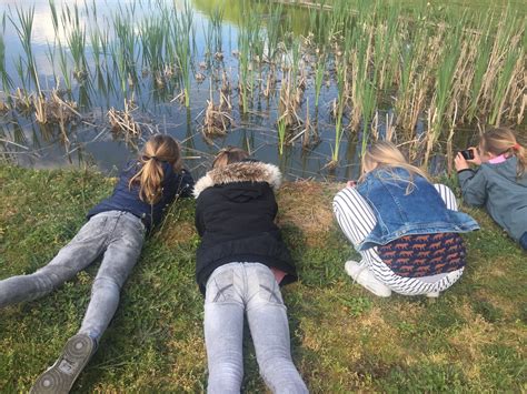 activiteiten amsterdamse bos  augustus voor jong en oud