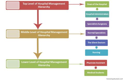 hospital management hierarchy chart hierarchystructurecom