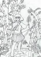 Bamboo Getdrawings Papan sketch template