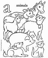 Coloring Animals Pages Book Alphabet sketch template