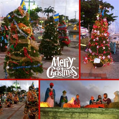 17 Best Images About Christmas In Barbados On Pinterest
