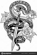 Snake Roses Dagger Stock Tattoo Illustration Vector Depositphotos Insima sketch template
