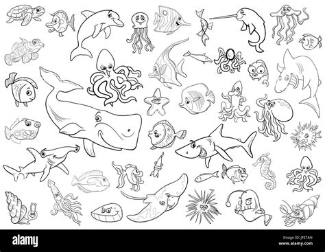 coloring pages ocean animals