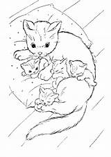 Ausmalbilder Malvorlagen Katzen Katze Babykatzen Katzenbabys Ausdrucken Malvorlage Erwachsene Süße sketch template