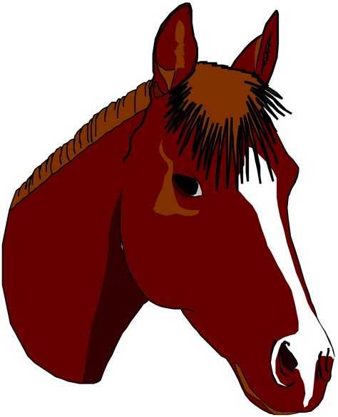 horse head clip art pictures clipartix