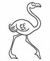 Flamingo Coloring Pages Pre Template Pink Kids Printable Cartoon Clipart Cliparts Clip Honkingdonkey Sheet Kleurplaten Birthday Drawing Color Flamingos Colouring sketch template