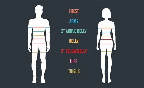 properly  body measurements macrolab