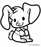 Bunny Coloring Rabbit Drawing Kids Easter Bunnies Cartoon Draw Pages Rabbits Color Easy Face Clipart Step Colouring Sitting Lovely Drawings sketch template