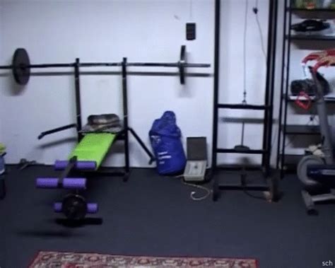 Watch Exclusive College Lesbian Sex Fucking Asshole In Exercise Room
