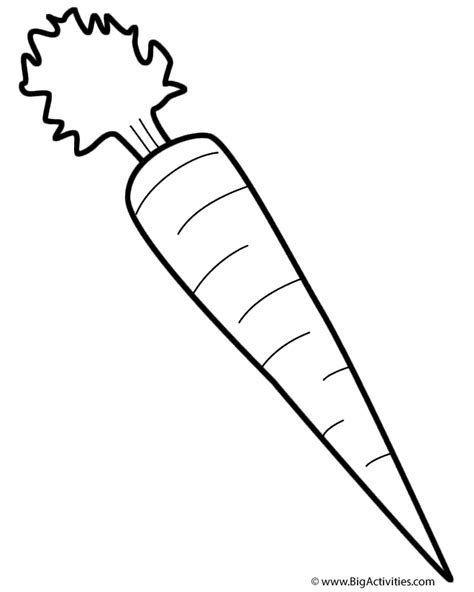 carrot coloring page fruits  vegetables