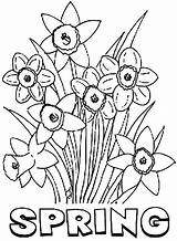 Spring Coloring Flower Pages Daffodil Color Kids Flowers Print Springtime Disney Coloringhome Comments Nature sketch template