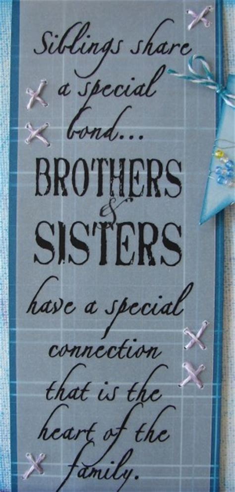 funny sibling quotes and sayings quotesgram