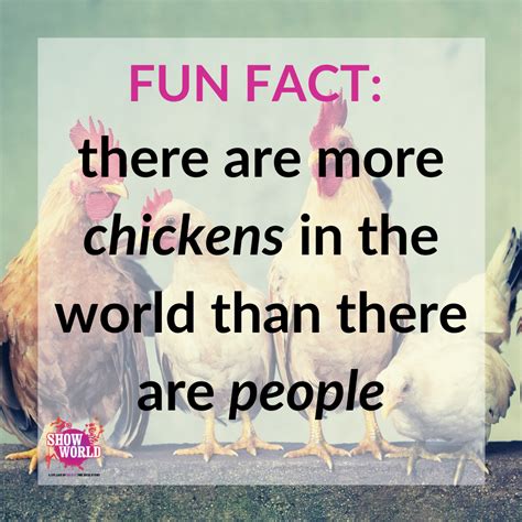 35 fun facts you probably didn t know uk show world