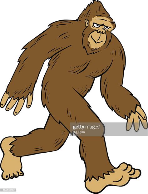 Bigfoot Dessin Animé Illustration Getty Images