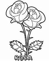 Druku Kolorowanka Roze Kwiaty Kolorowanki Róże Wydruku Darmowe sketch template