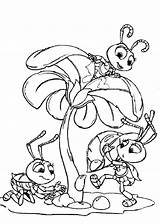 Coloring Pages Grasshopper Ant Popular Library Clipart sketch template