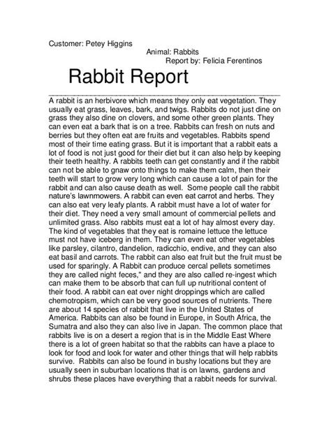 report  rabbits