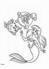 Flounder Little sketch template
