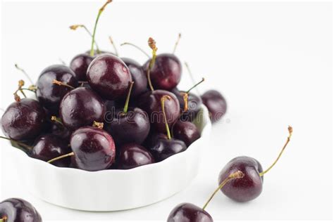 fresh dark purple cherry isolated background stock image image