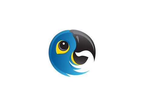 macaw logo  trish ward  dribbble