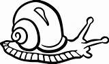 Snail Clipart Outline Cliparts Svg Clipground Clipartmag sketch template