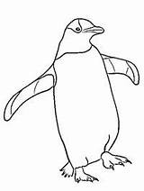 Pinguin Pingwiny Kleurplaat Kolorowanka Kleurplaten Vrolijke Leukekleurplaten sketch template