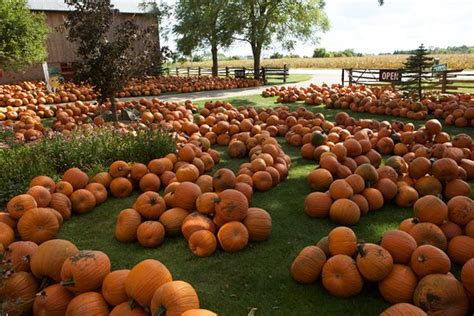 stroms farm bakery guelph