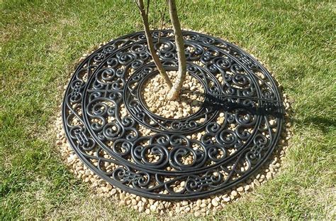 install rubber tree ring  ballard designs   decorate