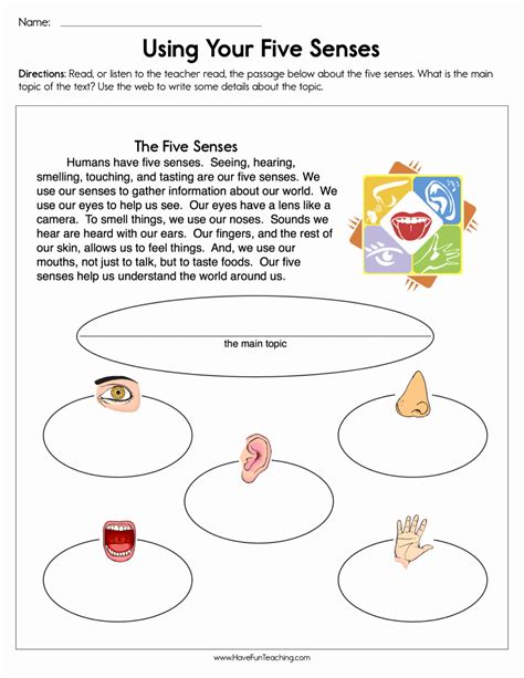 sensory details worksheets printable