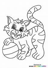 Mercat Gaby Cats sketch template