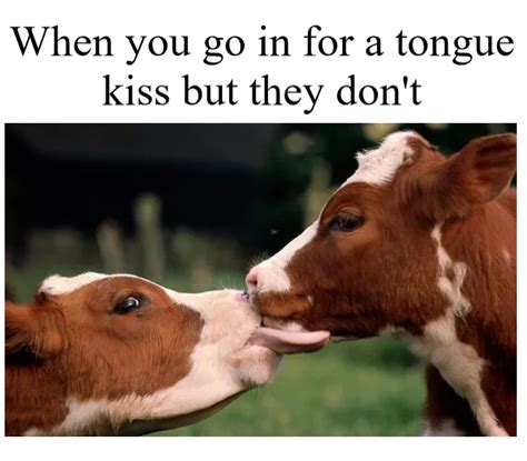 The Best Tongue Memes Memedroid