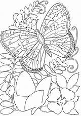 Butterflies Blumen Borboleta Schmetterling Sommerfugl Malvorlagen Ausdrucken Blandt Tegninger Blomster Ausmalbilder Supercoloring Entre Blommor Målarbilder Kategorier Bukaninfo Abetterhowellnj Borop sketch template