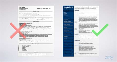 executive resume template   level examples
