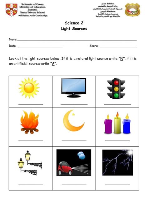 light sources worksheet