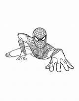 Spiderman Coloring Pages Color Spider Amazing Man Spidey Kids Print Printable Sheets Climbing Hellokids Bestcoloringpagesforkids Lego Zum Books Choose Board sketch template