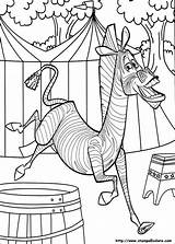 Madagascar Colorear Marty Kleurplaten Colorat Desenho Kleurplaat Cirque Coloriages P59 Ausmalen Zoo Planse Ausmalbild Plantillas Planetadibujos Animaatjes Circo Primiiani Kino sketch template