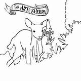 Sherpa sketch template