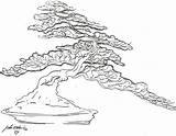 Tree Bonsai Japanese Drawing Sketch Trees Tattoo John Outline Naka Juniper Sketches Outlines Drawings Collection Paintingvalley Australian Project Jim Pine sketch template